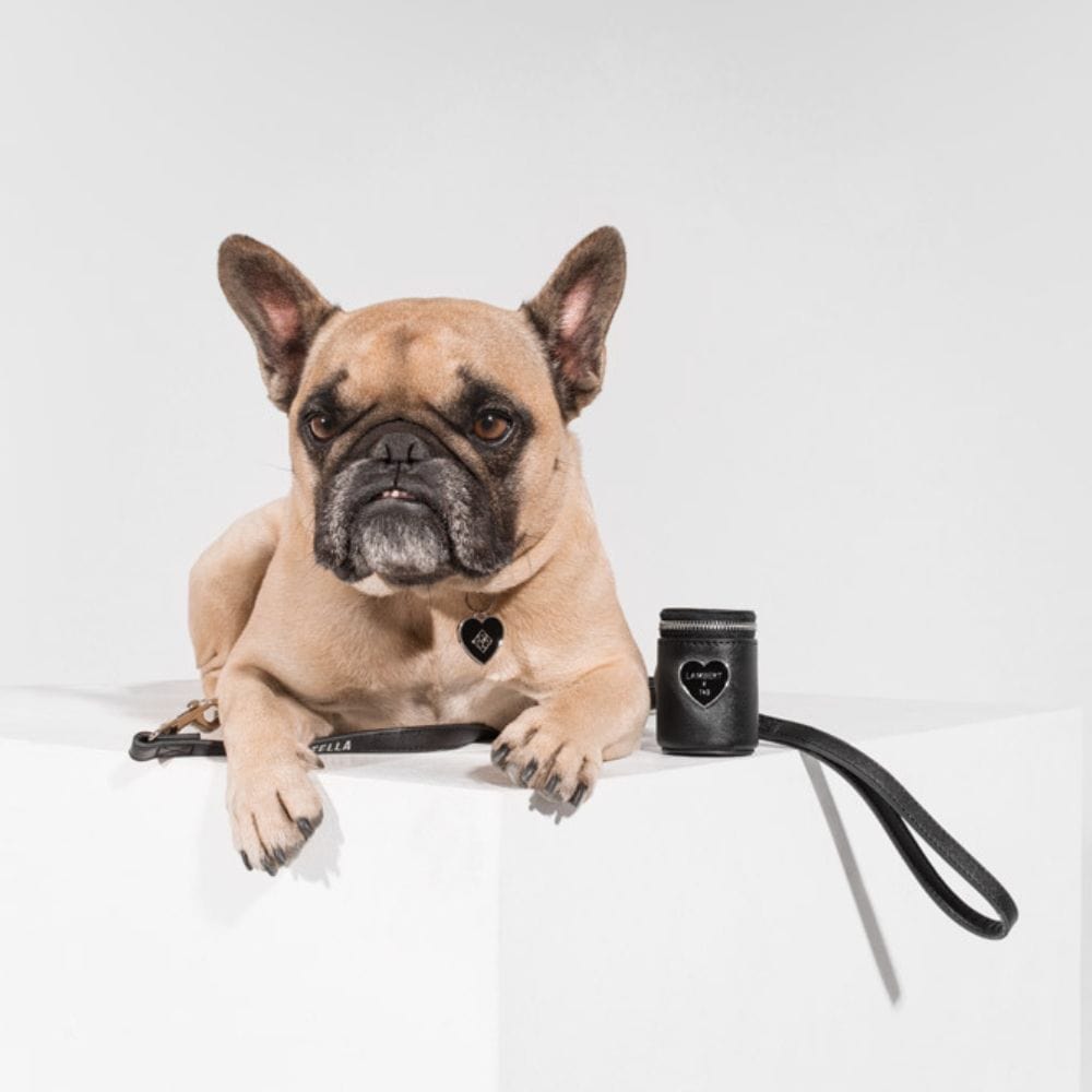 The CLEO - Trio of Black Vegan Leather Dog Accessories