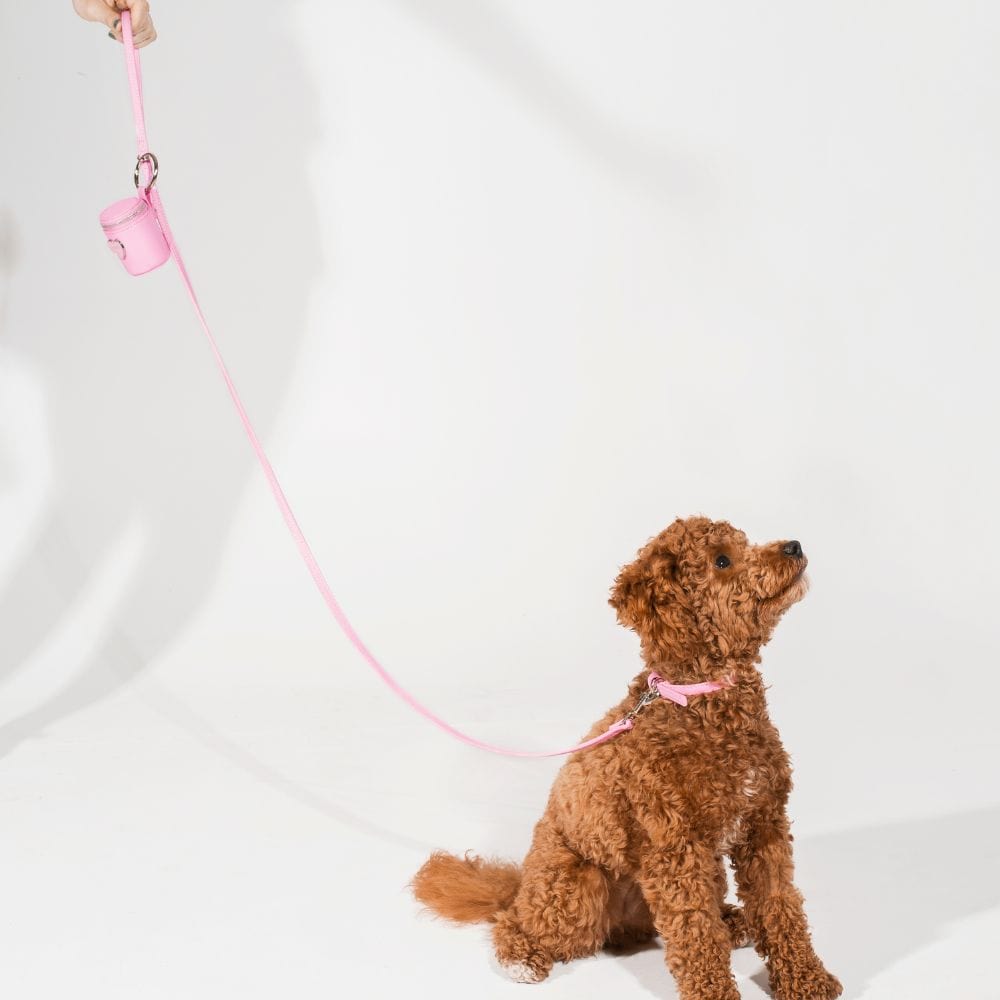 Le Cleo - Trio d'accessoires en cuir vegan bubblegum pour chien